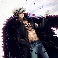 Law