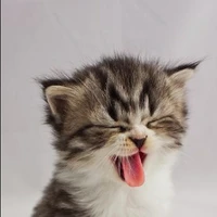 Not so innocent Author