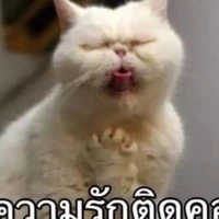 เจ๊หอยฝอยเก่ง(เเอด)