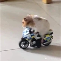 แอดเอง!!