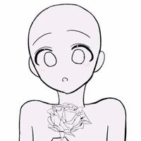 Y/N