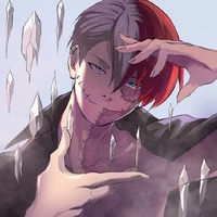 todoroki