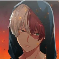 Shoto todoroki