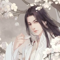 ซื่อเฟิ่งเจีย