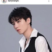 Wang junyi