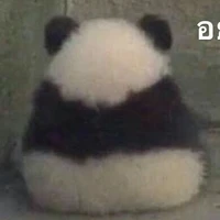 แอดไม่อาบน้ำ