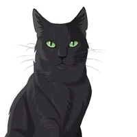 gato