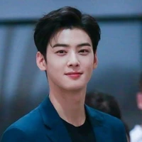 cha eun woo
