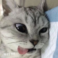 เทียน