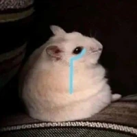 คนเขียน✌