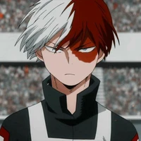 Shoto Todoroki