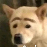 แอดเองๆ