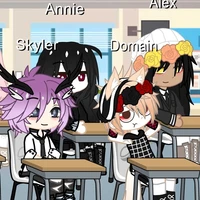 Whole class