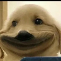 ？？？