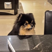 ถ่าน ถ่าน