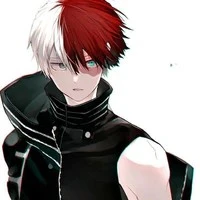 choto todoroki (Omega)