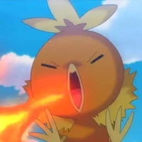 torchic