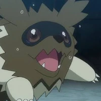 Zizagoon