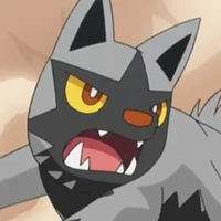 Poochyena
