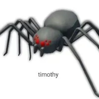 ทีโมที่- Timo at