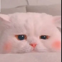 แอดเองค่ะ