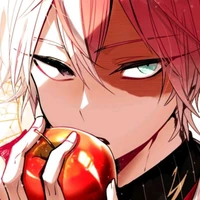todoroki