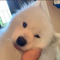 💞