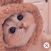 แอดเอง👋😀❤