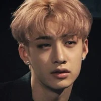 bang chan/chris