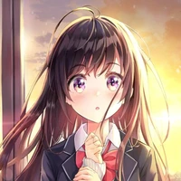 Nikitasha Bag/asha/fl sis