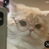 แอดเอง