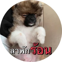 แอดเองจร้าาา