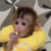 แอส