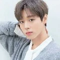 Ifan