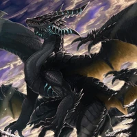 Unknown Dragon