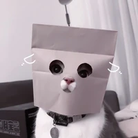 ไรท์​สุดหล่อ