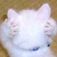 แอดเอง