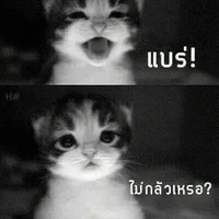 👤👾บุคคลปริศนา👾👤