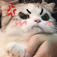 เเอดเองค้าบ