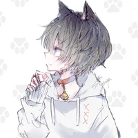 ไม่เอาหมานุดด "ระบบนอ."