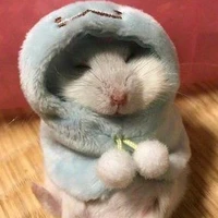 𝗧𝗮𝘄𝗮𝗻 🐭🌻