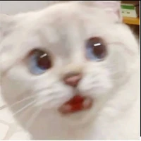 แอด
