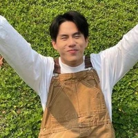 ฝุ่น
