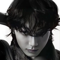 jeon Jungkook/mafia (jjk)