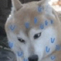 ส่องอยู่นะจ๊ะ(แอด)