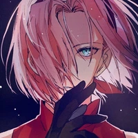 🌸Sakura🩷