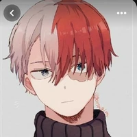 shoto todoroki *A.P*