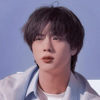 Kim Seok Jin/Ø
