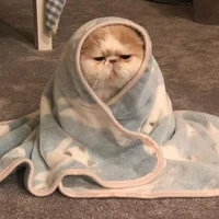 an unholy minded author 💅....is back~