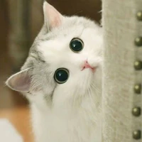 หิมะ(นางเอก)​